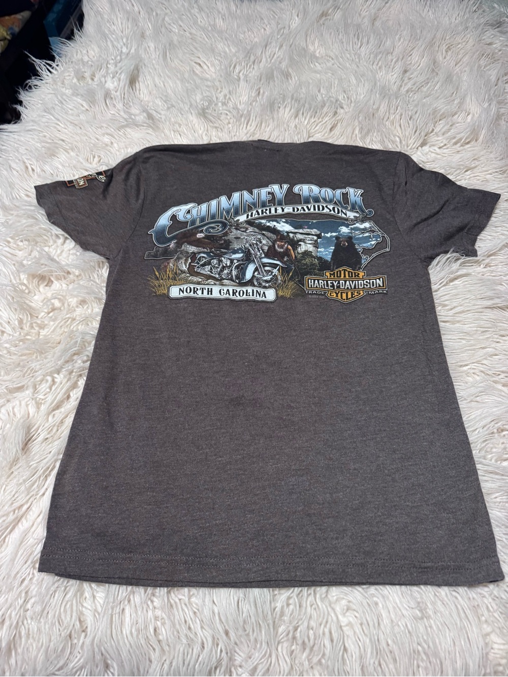 Harley Davidson Tshirt Size Medium Chimney Rock NC Motorcycle